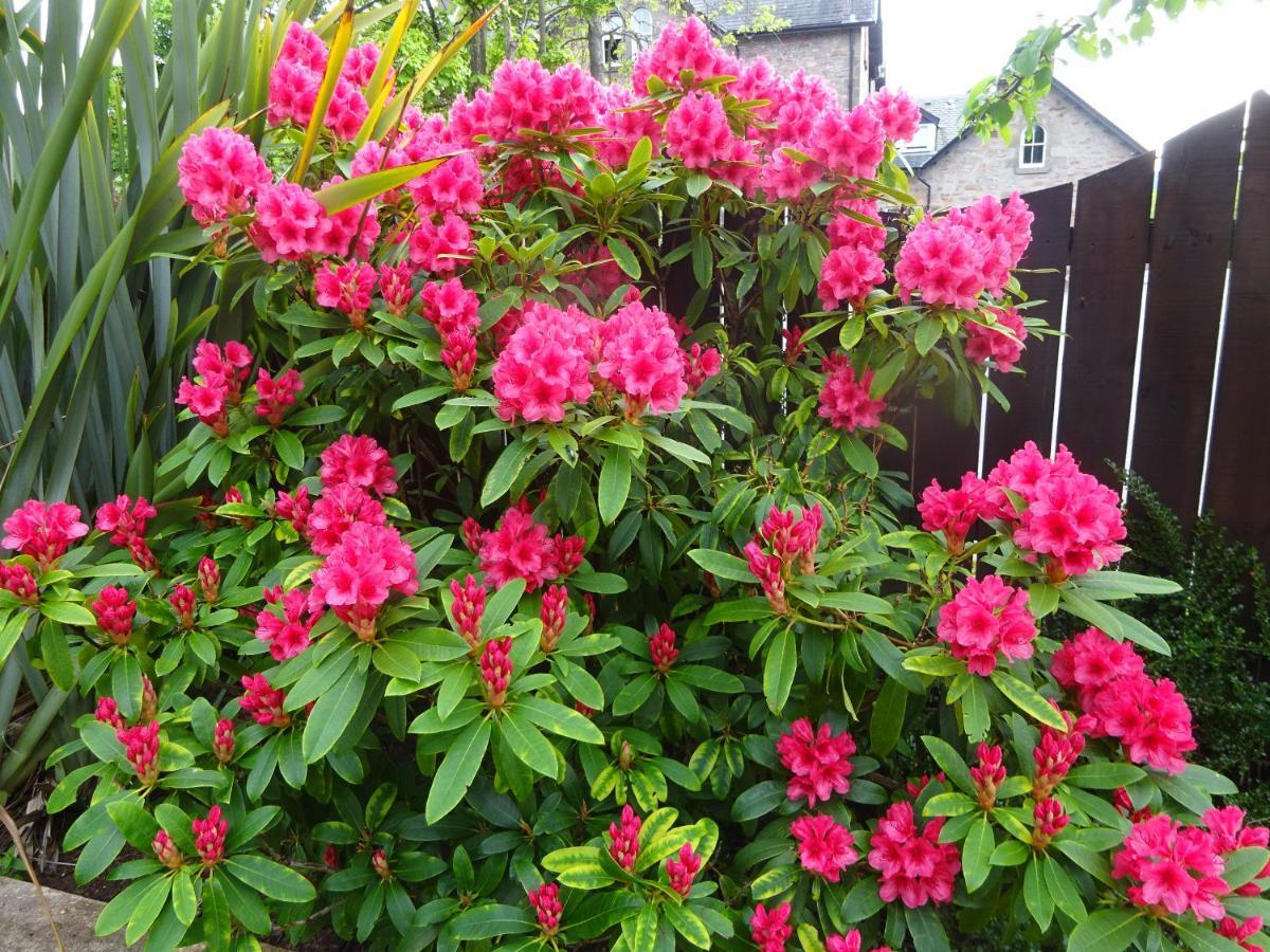 אינברנס Culliss House B&B מראה חיצוני תמונה